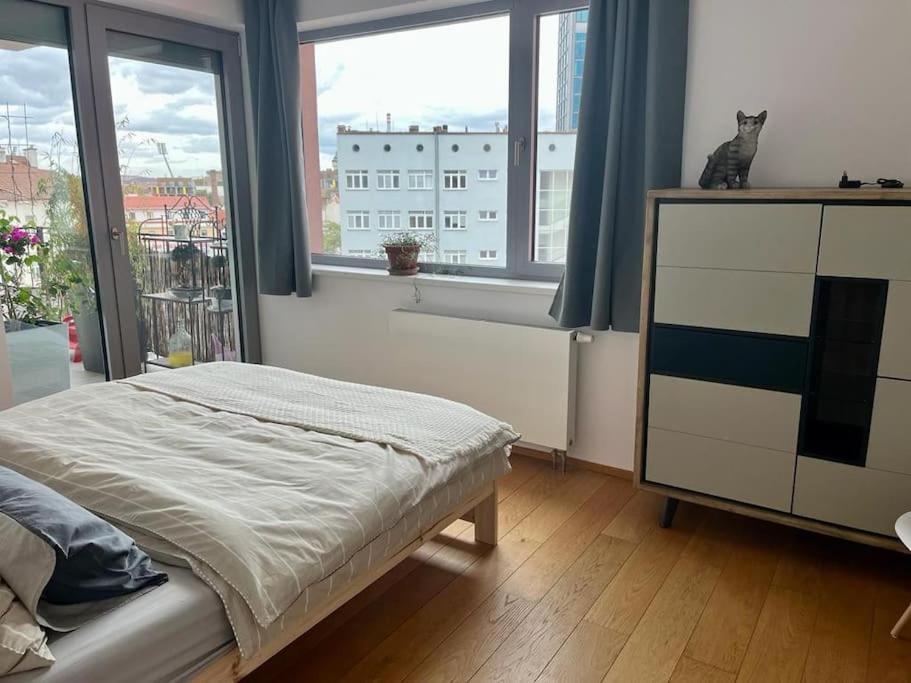 Apartment In Historical Center With Park View Plzeň Buitenkant foto
